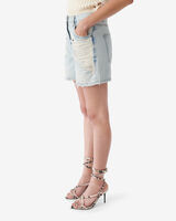 SASCHA image number null