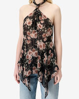 LASSAN image number null