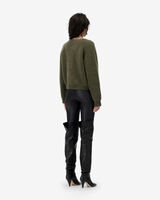 ALANO image number null