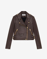 ASHVILLEG image number null