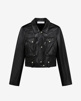 CHILOE image number null