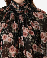 LAZULA image number null