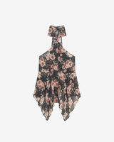 LASSAN image number null